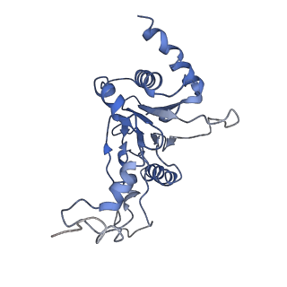 9042_6ef0_E_v1-4
Yeast 26S proteasome bound to ubiquitinated substrate (1D* motor state)