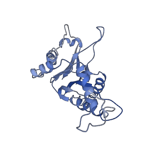 9042_6ef0_F_v1-3
Yeast 26S proteasome bound to ubiquitinated substrate (1D* motor state)