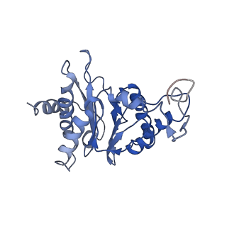 9042_6ef0_G_v1-3
Yeast 26S proteasome bound to ubiquitinated substrate (1D* motor state)