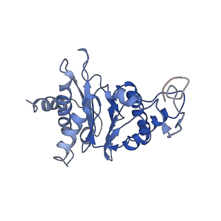 9042_6ef0_G_v1-4
Yeast 26S proteasome bound to ubiquitinated substrate (1D* motor state)