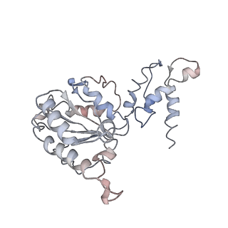 9042_6ef0_H_v1-4
Yeast 26S proteasome bound to ubiquitinated substrate (1D* motor state)