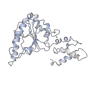 9042_6ef0_I_v1-3
Yeast 26S proteasome bound to ubiquitinated substrate (1D* motor state)