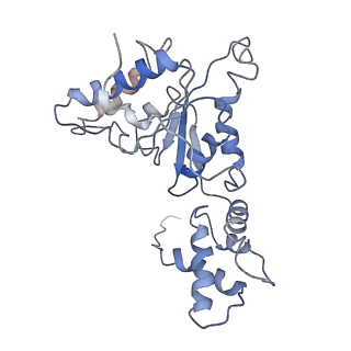 9042_6ef0_J_v1-3
Yeast 26S proteasome bound to ubiquitinated substrate (1D* motor state)