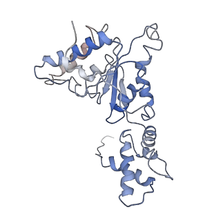 9042_6ef0_J_v1-4
Yeast 26S proteasome bound to ubiquitinated substrate (1D* motor state)