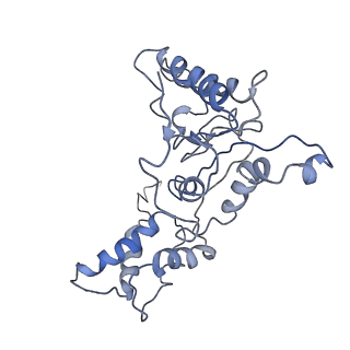 9042_6ef0_K_v1-3
Yeast 26S proteasome bound to ubiquitinated substrate (1D* motor state)