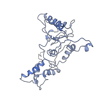 9042_6ef0_K_v1-4
Yeast 26S proteasome bound to ubiquitinated substrate (1D* motor state)