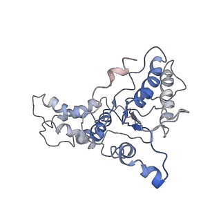9042_6ef0_L_v1-3
Yeast 26S proteasome bound to ubiquitinated substrate (1D* motor state)