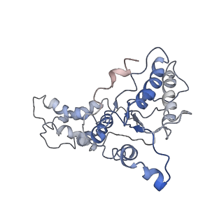 9042_6ef0_L_v1-4
Yeast 26S proteasome bound to ubiquitinated substrate (1D* motor state)