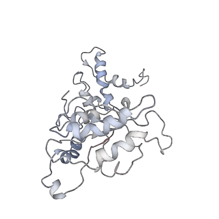 9042_6ef0_M_v1-3
Yeast 26S proteasome bound to ubiquitinated substrate (1D* motor state)