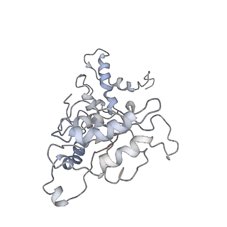 9042_6ef0_M_v1-4
Yeast 26S proteasome bound to ubiquitinated substrate (1D* motor state)