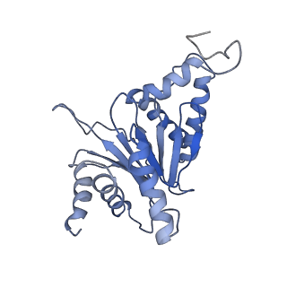 9043_6ef1_A_v1-3
Yeast 26S proteasome bound to ubiquitinated substrate (5D motor state)
