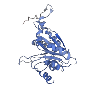 9043_6ef1_B_v1-3
Yeast 26S proteasome bound to ubiquitinated substrate (5D motor state)