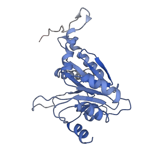 9043_6ef1_B_v1-4
Yeast 26S proteasome bound to ubiquitinated substrate (5D motor state)