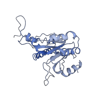 9043_6ef1_C_v1-3
Yeast 26S proteasome bound to ubiquitinated substrate (5D motor state)