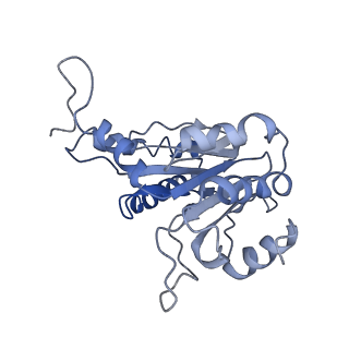 9043_6ef1_C_v1-4
Yeast 26S proteasome bound to ubiquitinated substrate (5D motor state)