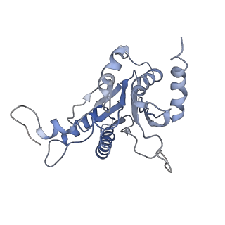 9043_6ef1_D_v1-3
Yeast 26S proteasome bound to ubiquitinated substrate (5D motor state)