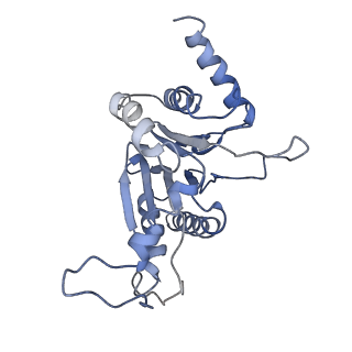 9043_6ef1_E_v1-3
Yeast 26S proteasome bound to ubiquitinated substrate (5D motor state)