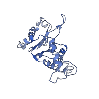 9043_6ef1_F_v1-3
Yeast 26S proteasome bound to ubiquitinated substrate (5D motor state)