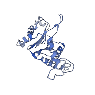 9043_6ef1_F_v1-4
Yeast 26S proteasome bound to ubiquitinated substrate (5D motor state)