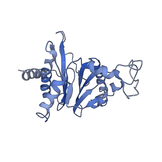 9043_6ef1_G_v1-3
Yeast 26S proteasome bound to ubiquitinated substrate (5D motor state)