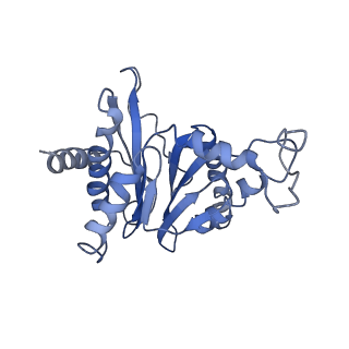 9043_6ef1_G_v1-4
Yeast 26S proteasome bound to ubiquitinated substrate (5D motor state)