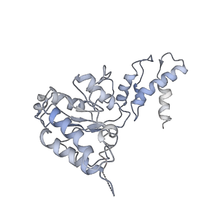 9043_6ef1_H_v1-4
Yeast 26S proteasome bound to ubiquitinated substrate (5D motor state)