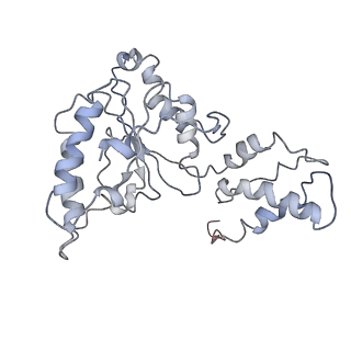 9043_6ef1_I_v1-3
Yeast 26S proteasome bound to ubiquitinated substrate (5D motor state)