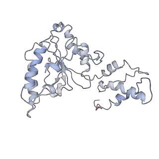 9043_6ef1_I_v1-4
Yeast 26S proteasome bound to ubiquitinated substrate (5D motor state)