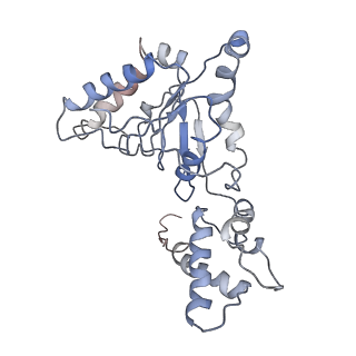 9043_6ef1_J_v1-4
Yeast 26S proteasome bound to ubiquitinated substrate (5D motor state)