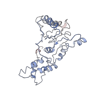 9043_6ef1_K_v1-3
Yeast 26S proteasome bound to ubiquitinated substrate (5D motor state)