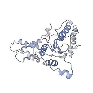 9043_6ef1_L_v1-3
Yeast 26S proteasome bound to ubiquitinated substrate (5D motor state)