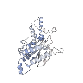 9043_6ef1_M_v1-3
Yeast 26S proteasome bound to ubiquitinated substrate (5D motor state)