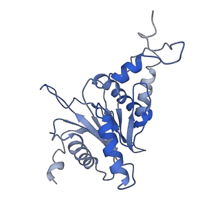 9044_6ef2_A_v1-3
Yeast 26S proteasome bound to ubiquitinated substrate (5T motor state)