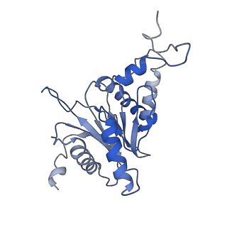 9044_6ef2_A_v1-4
Yeast 26S proteasome bound to ubiquitinated substrate (5T motor state)