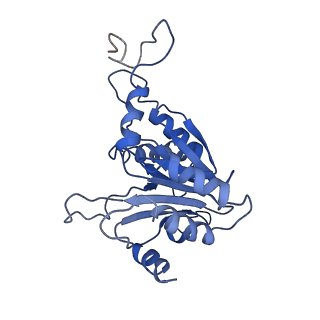 9044_6ef2_B_v1-3
Yeast 26S proteasome bound to ubiquitinated substrate (5T motor state)