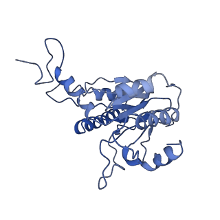 9044_6ef2_C_v1-3
Yeast 26S proteasome bound to ubiquitinated substrate (5T motor state)