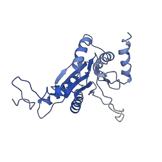 9044_6ef2_D_v1-3
Yeast 26S proteasome bound to ubiquitinated substrate (5T motor state)