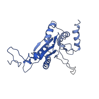 9044_6ef2_D_v1-4
Yeast 26S proteasome bound to ubiquitinated substrate (5T motor state)