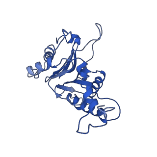 9044_6ef2_F_v1-4
Yeast 26S proteasome bound to ubiquitinated substrate (5T motor state)