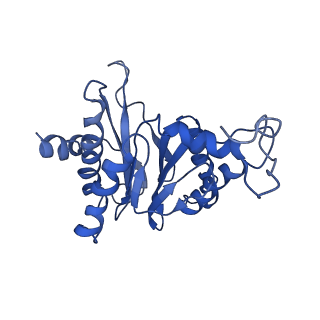 9044_6ef2_G_v1-3
Yeast 26S proteasome bound to ubiquitinated substrate (5T motor state)