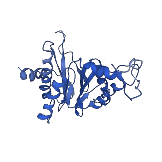 9044_6ef2_G_v1-4
Yeast 26S proteasome bound to ubiquitinated substrate (5T motor state)