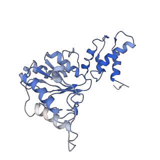 9044_6ef2_H_v1-3
Yeast 26S proteasome bound to ubiquitinated substrate (5T motor state)