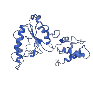 9044_6ef2_I_v1-3
Yeast 26S proteasome bound to ubiquitinated substrate (5T motor state)