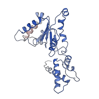 9044_6ef2_J_v1-3
Yeast 26S proteasome bound to ubiquitinated substrate (5T motor state)