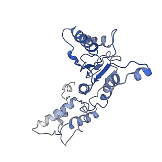 9044_6ef2_K_v1-3
Yeast 26S proteasome bound to ubiquitinated substrate (5T motor state)