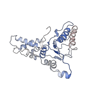 9044_6ef2_L_v1-3
Yeast 26S proteasome bound to ubiquitinated substrate (5T motor state)