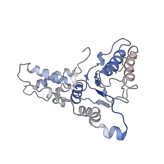 9044_6ef2_L_v1-4
Yeast 26S proteasome bound to ubiquitinated substrate (5T motor state)