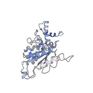 9044_6ef2_M_v1-3
Yeast 26S proteasome bound to ubiquitinated substrate (5T motor state)
