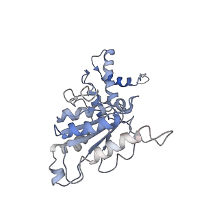 9044_6ef2_M_v1-4
Yeast 26S proteasome bound to ubiquitinated substrate (5T motor state)