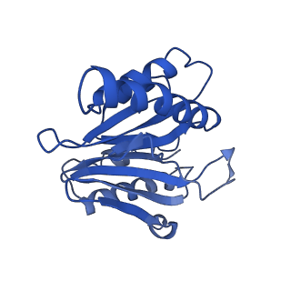9045_6ef3_1_v1-3
Yeast 26S proteasome bound to ubiquitinated substrate (4D motor state)